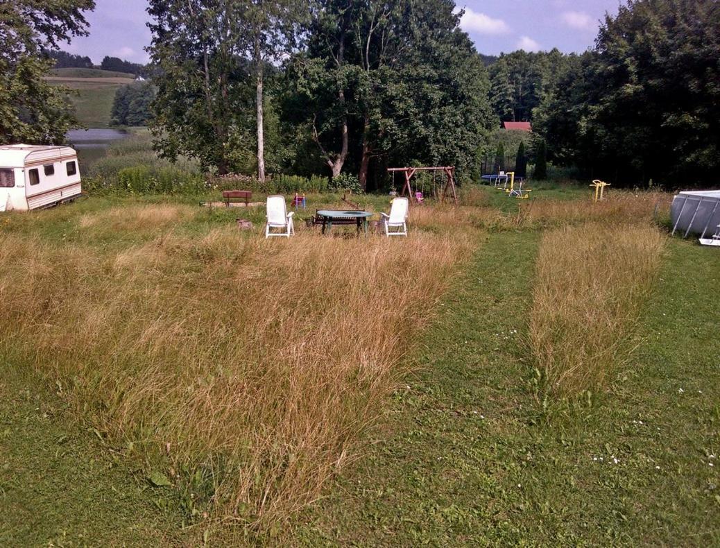 Appartamento Uslugi Turystyczne Ekotur - Kraniec Swiata Golubie Esterno foto